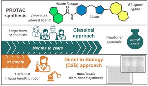 Afbeeldingsresultaten voor Direct Development Biology
