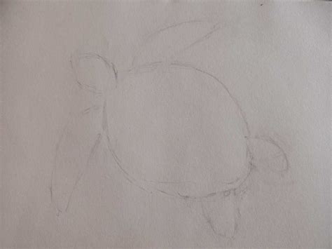 Turtle Good Drawing に対する画像結果