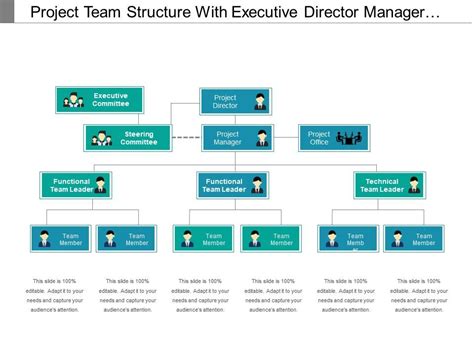 Image result for Director of Project Management Diagram