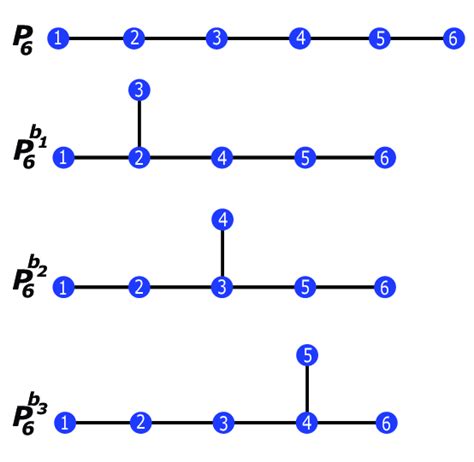 P3 Path Graph に対する画像結果