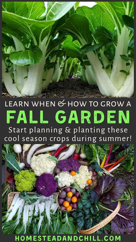 Image result for Best Fall Vegetables to Grow