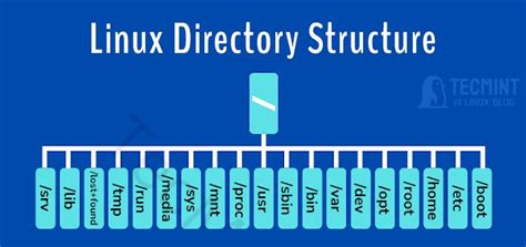 Image result for Linux Directory Structure in Red Hat