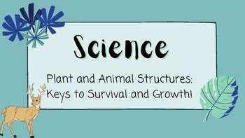 Toradh íomhá ar Metal External Structures
