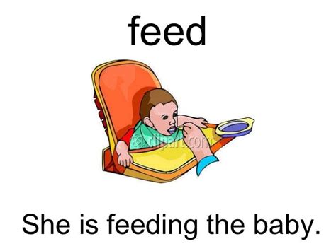 How to Tell Snapping Turtle に対する画像結果