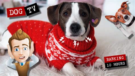 Image result for Wolves Howling Audio