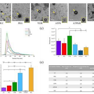 EVS Sudy に対する画像結果