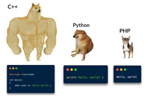 Image result for Learn C From Python Meme