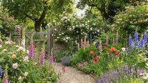 Find the Hidden Python に対する画像結果