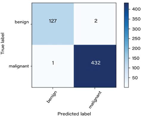 Toradh íomhá ar Transfer Learning in Binary Classification
