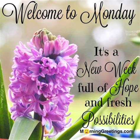 Toradh íomhá ar Hello Monday Great Week