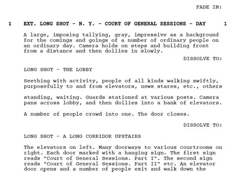 Toradh íomhá ar Long Shot Screenplay Example