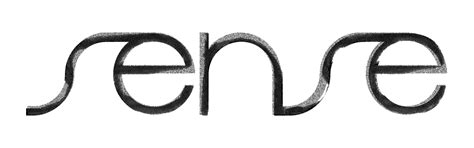 Image result for Sense Time Logo