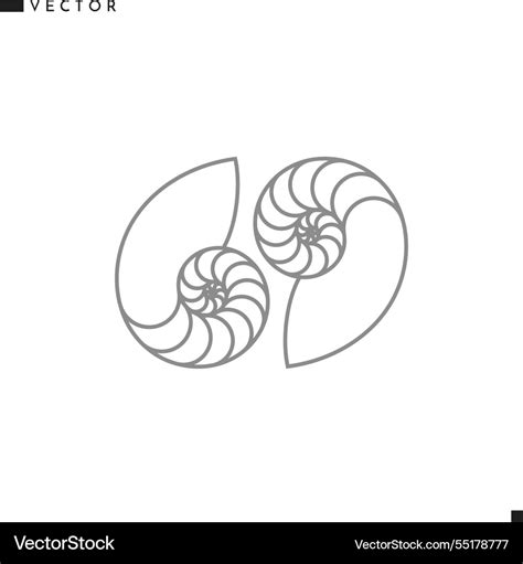 Image result for Nautilus Shell Matrix Multiplication by Vector