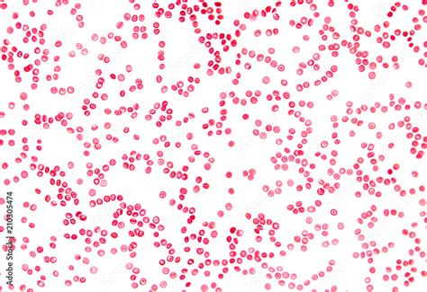 Image result for Blood Fluid Matrix Microscope