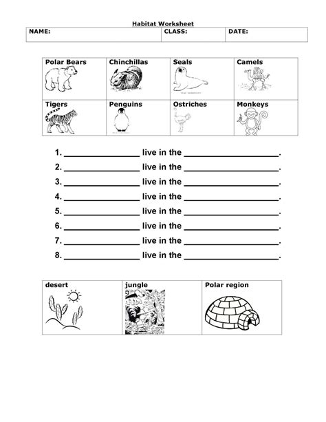 Grade One Science Worksheet に対する画像結果