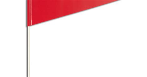 Marking Flags に対する画像結果