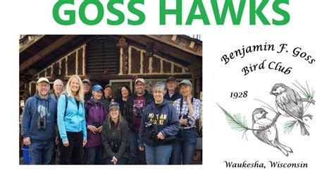 Hawk Call Goss-க்கான படிம முடிவு