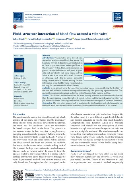 Image result for Fluid Structure Interaction Blood Flow