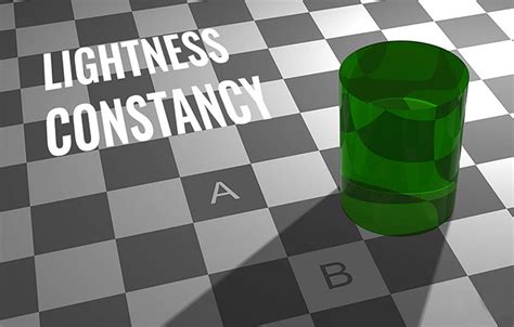 Image result for Visual Perception of Checkered Table