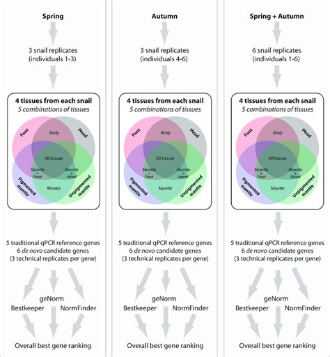 Image result for Experimental Sampling Design Example