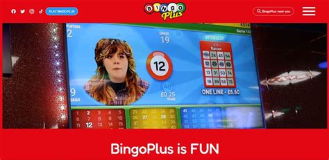 Image result for Bingo Live Stream