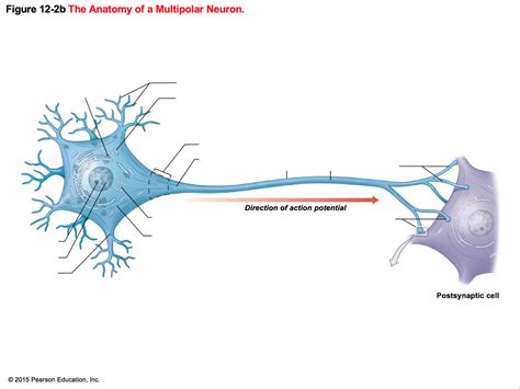 Image result for LAN LED Multipolar Neuron