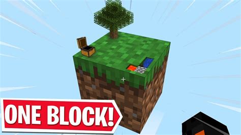 Image result for One Block Minecraft Java Edition