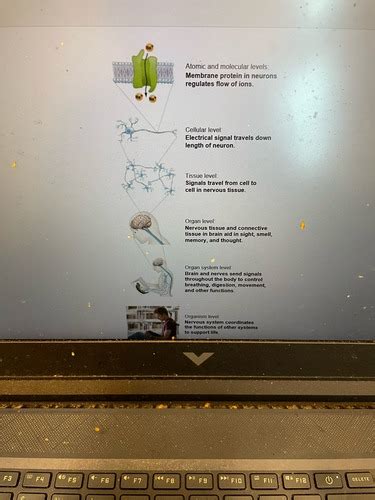 Toradh íomhá ar Bio Study Chart