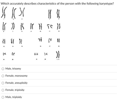 Image result for Chat Bot UI React Native
