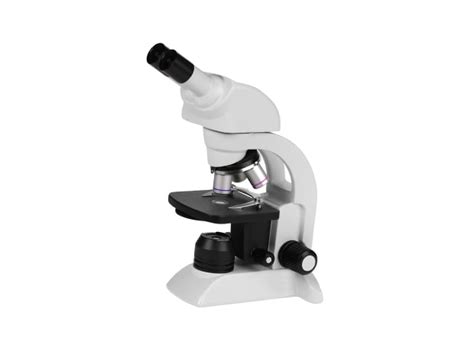 Image result for High Power Field Microscope