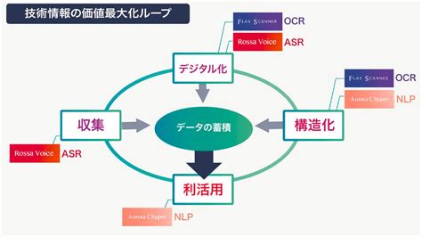 Rina Logical Process Model に対する画像結果
