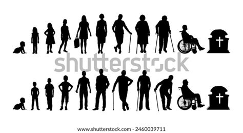 Image result for Human Aging Diagram Revvity