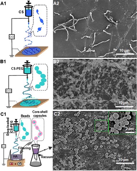 Image result for Core-Shell Tubular Structure