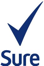 Image result for Sure Stop Brake System