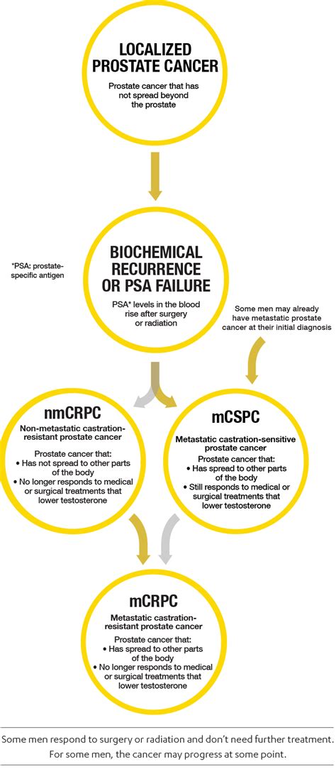 Image result for Progression Model of Prostate Cancer