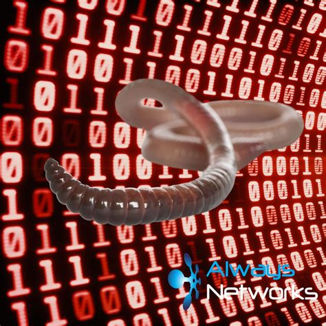 Image result for Code Red Virus