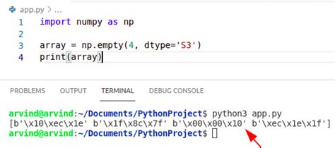 Python Empty Array に対する画像結果