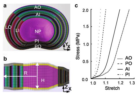 Finite-Element Modelling Pivot に対する画像結果