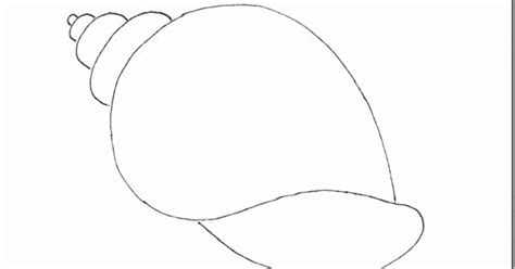 Image result for Sea Shell Pattern Template