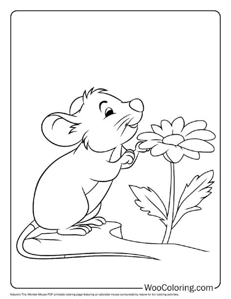 Image result for Library Mouse Coloring Page