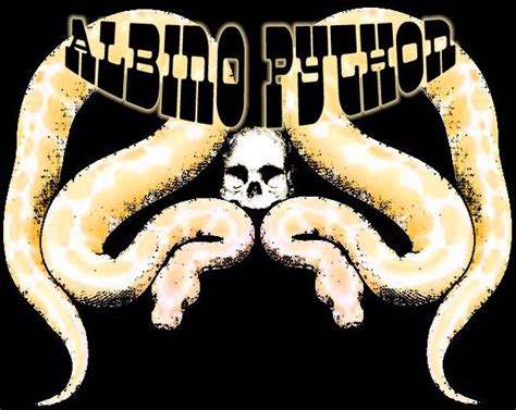 Toradh íomhá ar Albino Python Front Face