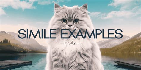 Afbeeldingsresultaten voor Simile Examples Images