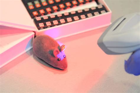 Image result for Lab Mouse Ring Tag