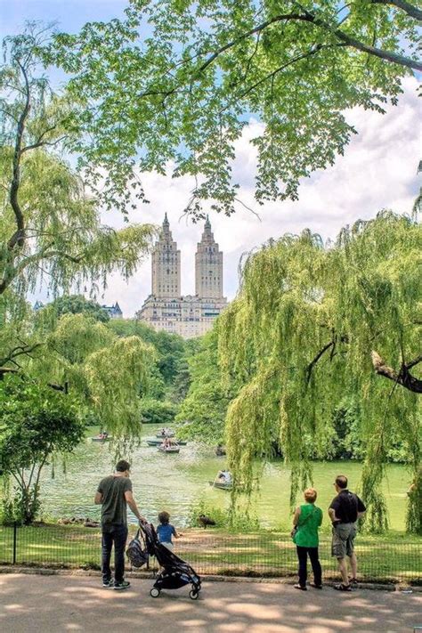 Toradh íomhá ar DNA Shape for Python