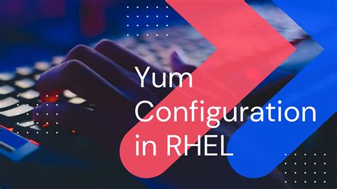 Image result for Python Beeldje