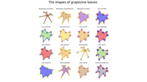 Image result for Using Leaves in Python Tank