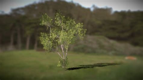 Free SpeedTree Models に対する画像結果