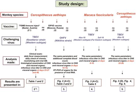 Study Design Chart に対する画像結果