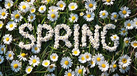 Image result for Happy Spring Background Free