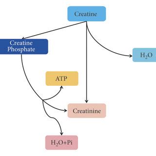 Afbeeldingsresultaten voor Over Sampling Flowchart